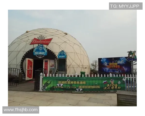 球场上的激情碰撞球迷与足球明星共谱热血传奇